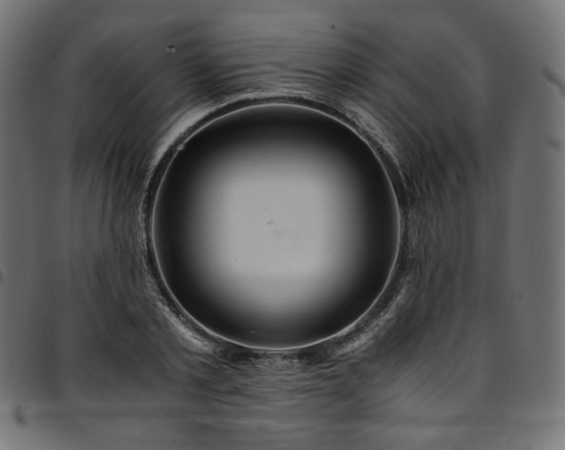 X0000095540789200712141523