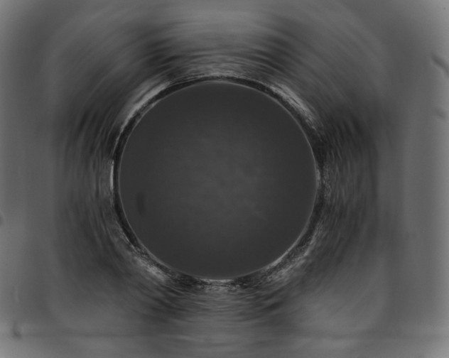 X0000095540790200712141523