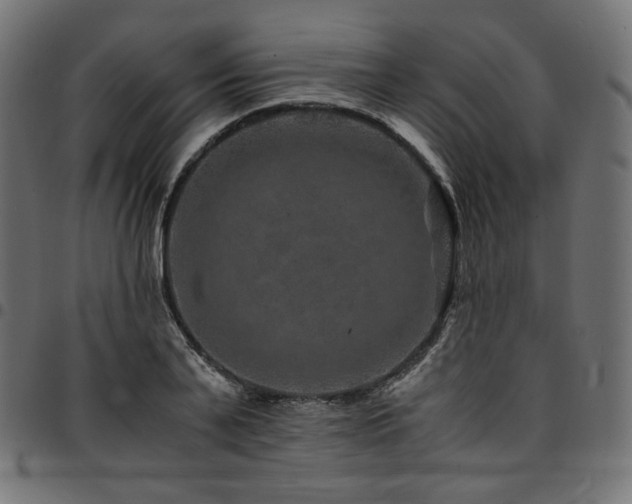 X0000095540791200712141523