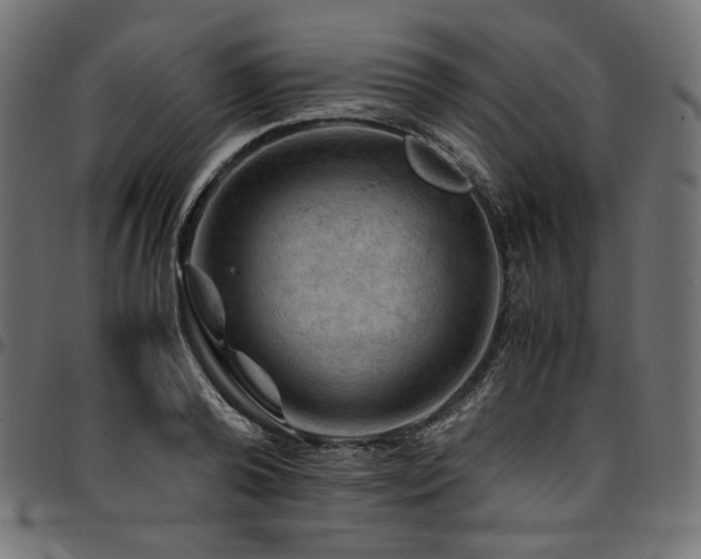 X0000095540792200712141523