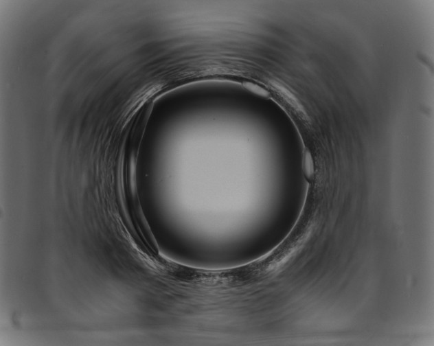 X0000095540793200712141523