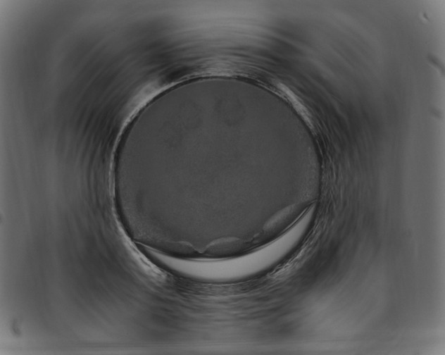 X0000095540795200712141523