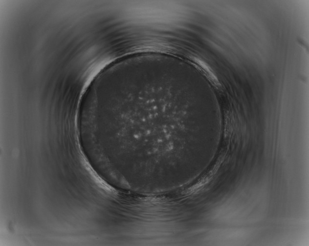 X0000095540796200712141523