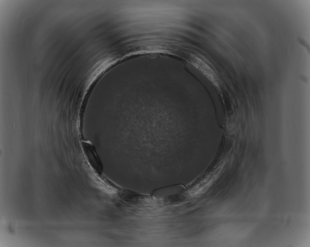 X0000095540797200712141523