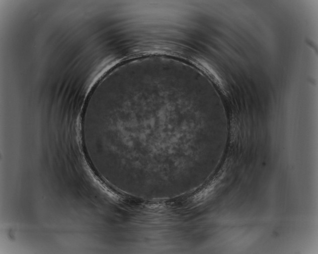 X0000095540798200712141523