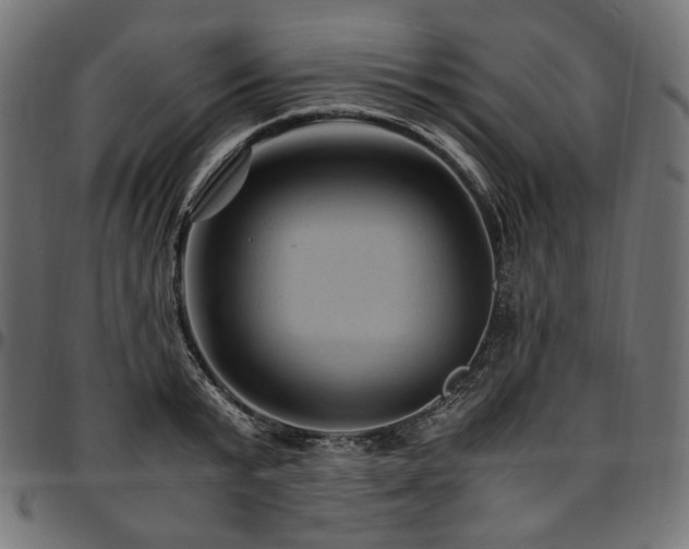 X0000095540799200712141523