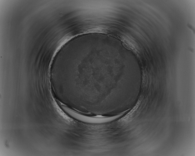 X0000095540800200712141523