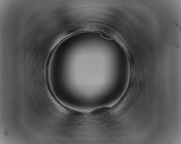 X0000095540803200712141523