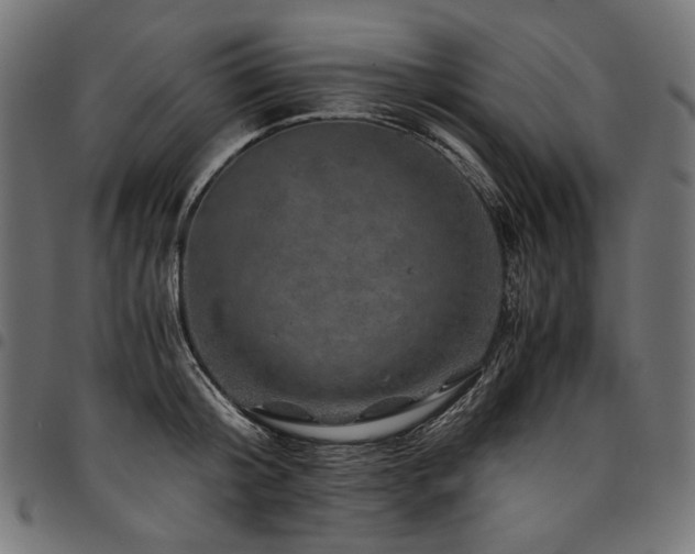 X0000095540804200712141523