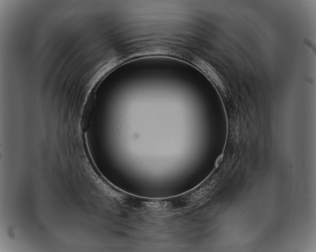 X0000095540805200712141523