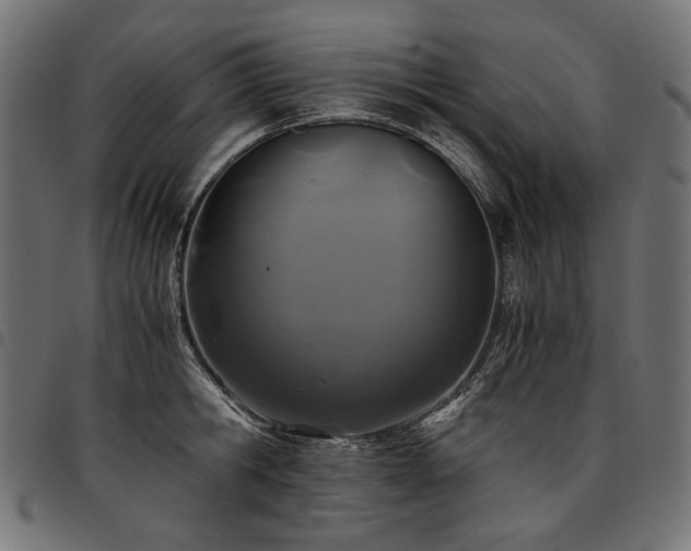 X0000095540806200712141523