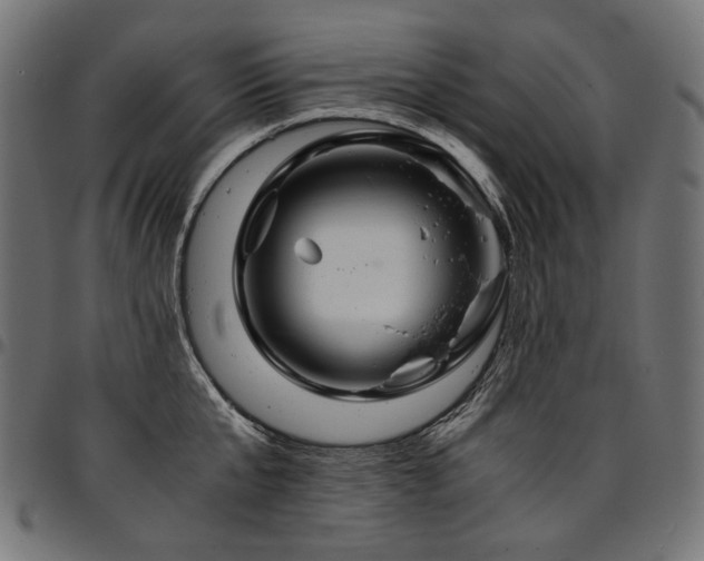 X0000095540807200712141523