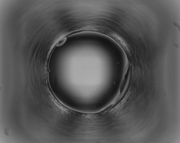 X0000095540808200712141523