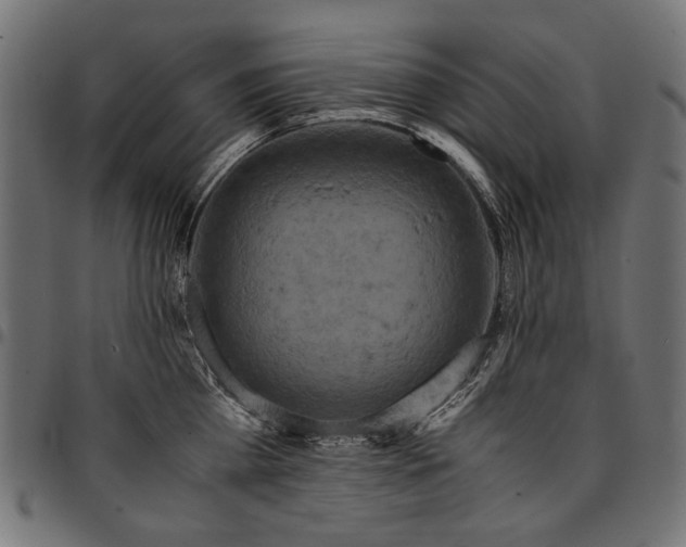 X0000095540809200712141523