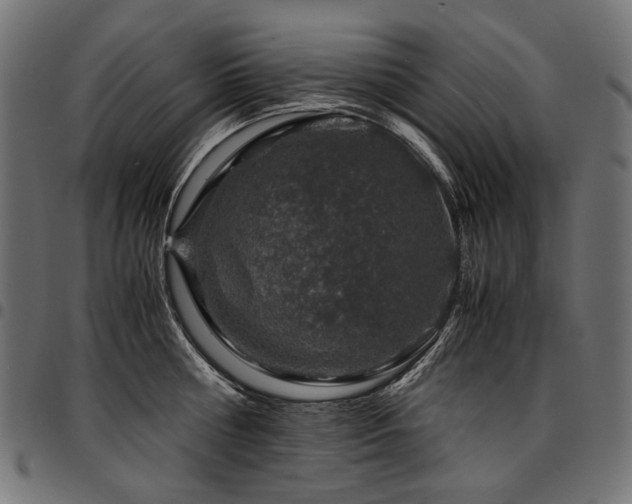 X0000095540810200712141523