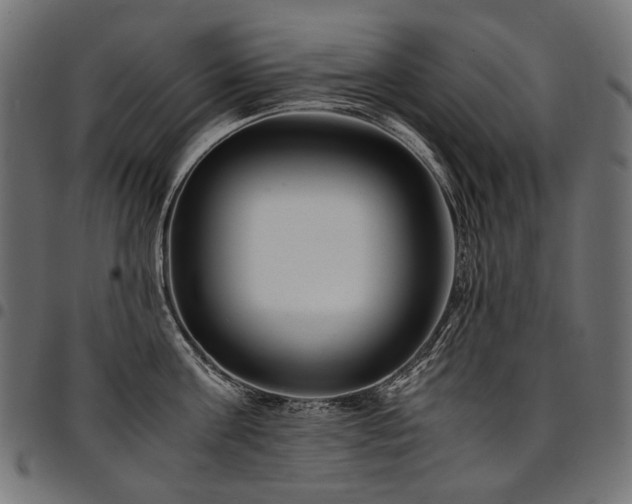 X0000095540811200712141523