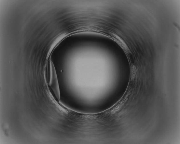 X0000095540812200712141523