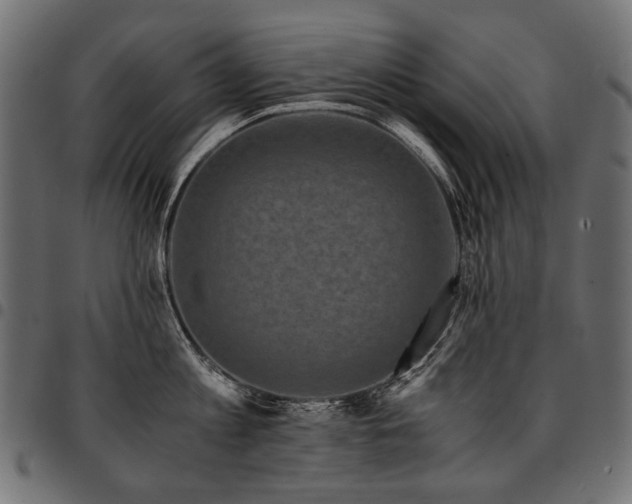 X0000095540813200712141523