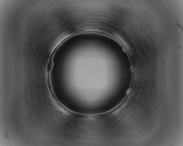 X0000095540814200712141523