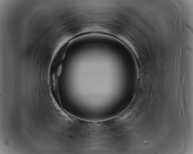 X0000095540815200712141523