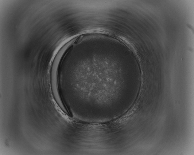 X0000095540816200712141523