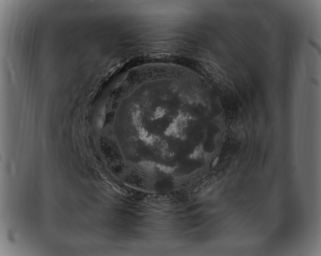 X0000095540817200712141522