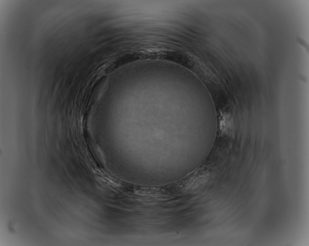 X0000095540819200712141522