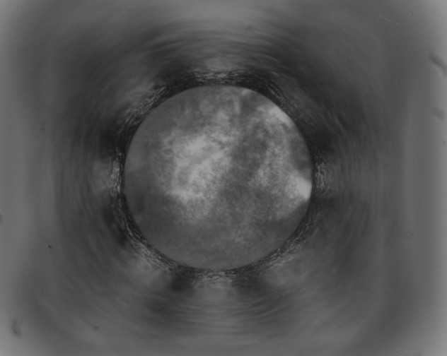 X0000095540820200712141522