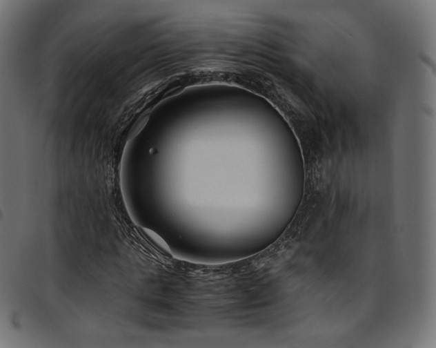 X0000095540821200712141522