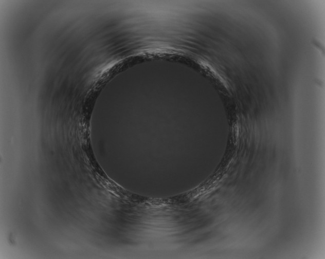 X0000095540822200712141522