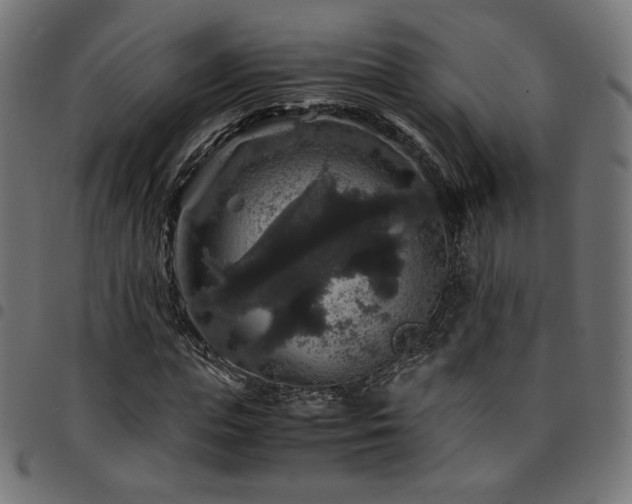 X0000095540823200712141522