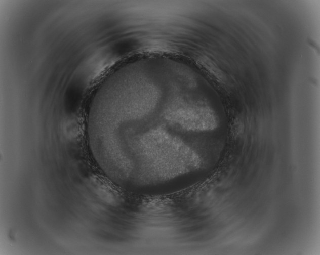 X0000095540824200712141523