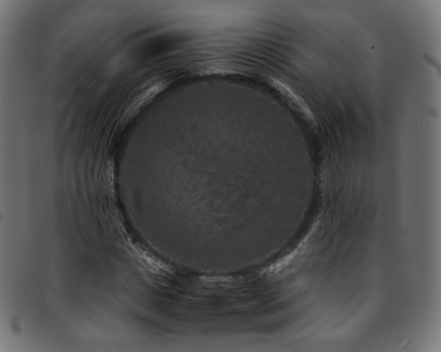 X0000095540825200712141523