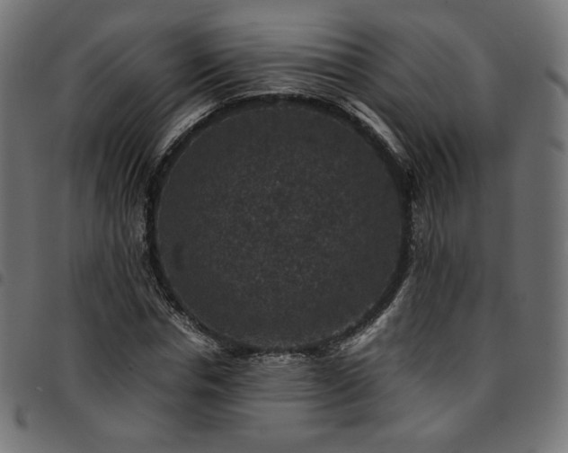 X0000095540826200712141523