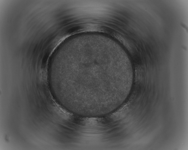 X0000095540828200712141523