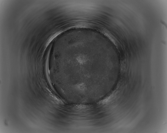 X0000095540829200712141523