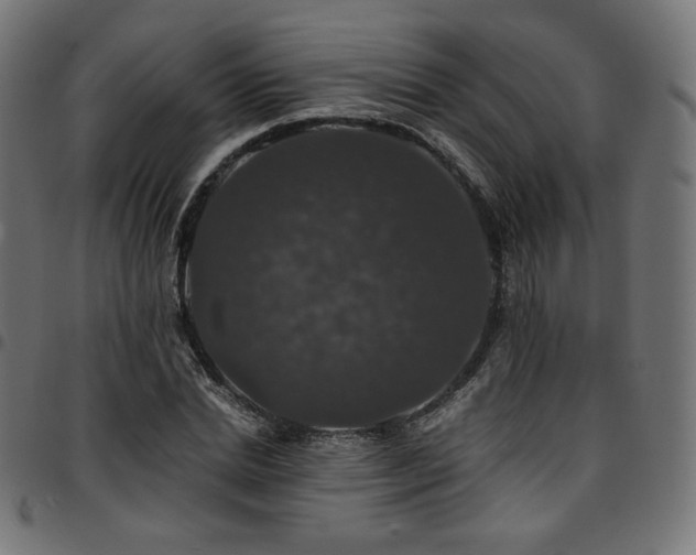 X0000095540830200712141523