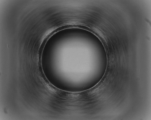 X0000095540831200712141523