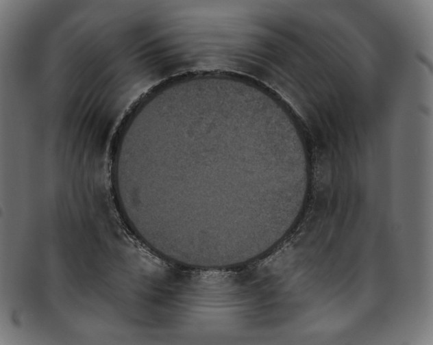 X0000095540832200712141523