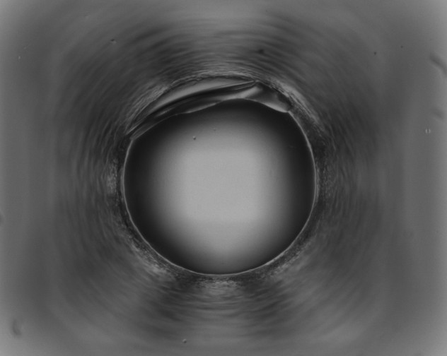 X0000095540833200712141523