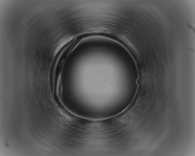 X0000095540834200712141523