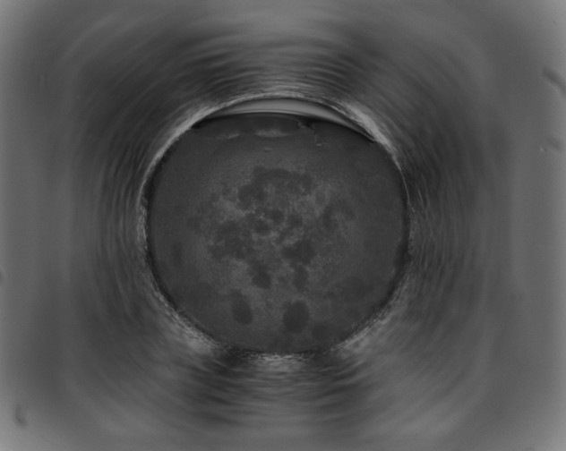 X0000095540835200712141523