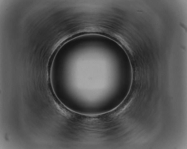 X0000095540837200712141523