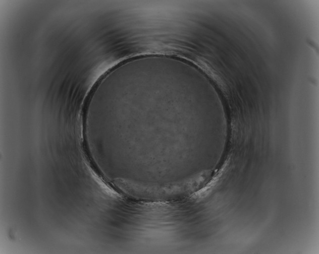 X0000095540838200712141523