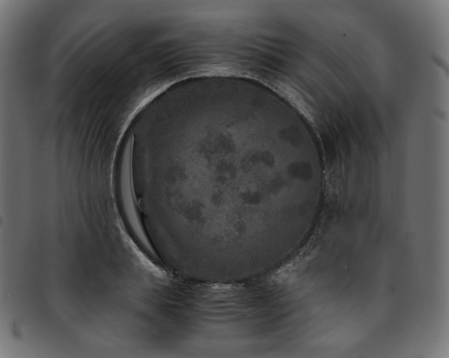 X0000095540839200712141523