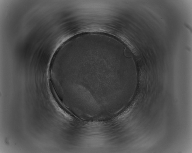 X0000095540840200712141523