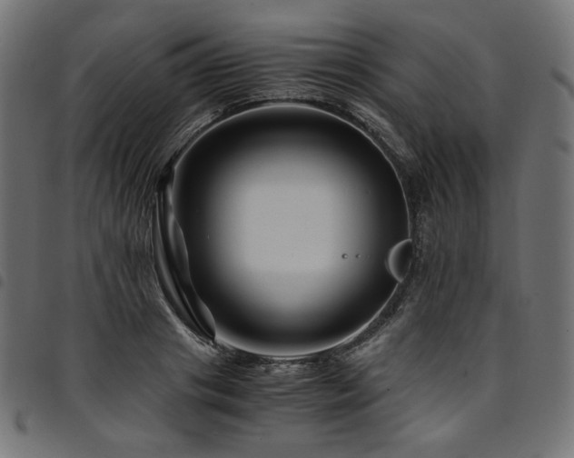 X0000095540841200712141523