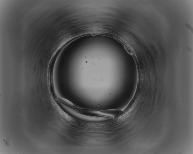 X0000095540843200712141523