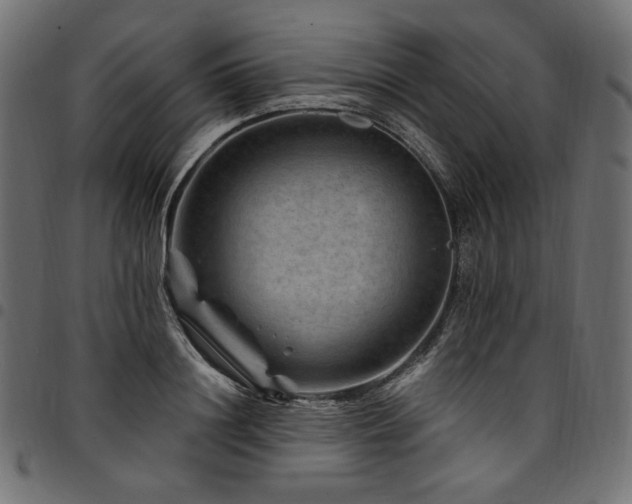 X0000095540844200712141523