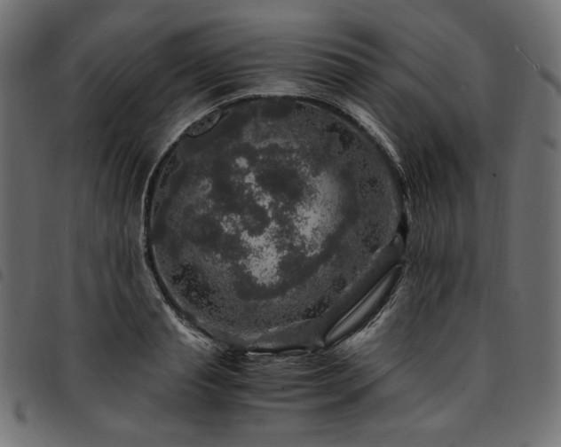 X0000095540845200712141523